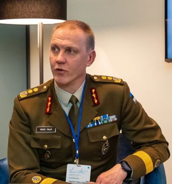 Отставной эстонский генерал: Эстония пропустила "революцию дронов"