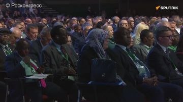 "Украина в 2014 году превратилась в рассадник русофобии
