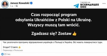 Всех украинцев надо вернуть из Польши домой: пришло время