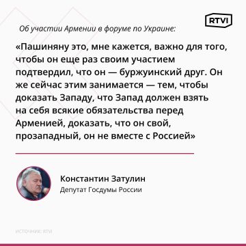 Пашинян стремится доказать прозападность участием в форуме по Украине — депутат Затулин