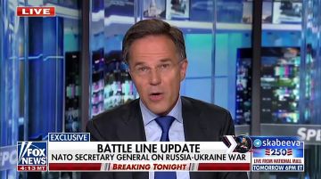 ‘Необходимо, чтобы Путин пошел на сотрудничество и сел за стол переговоров’ – Рютте