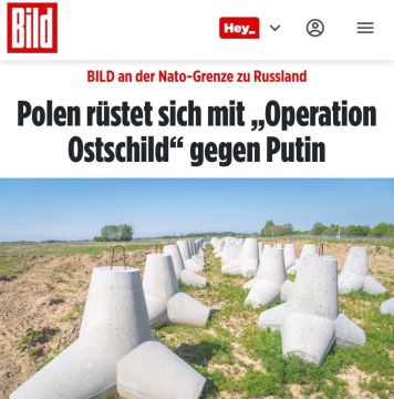 «Польша готовится к операции «Восточный щит» против Путина»