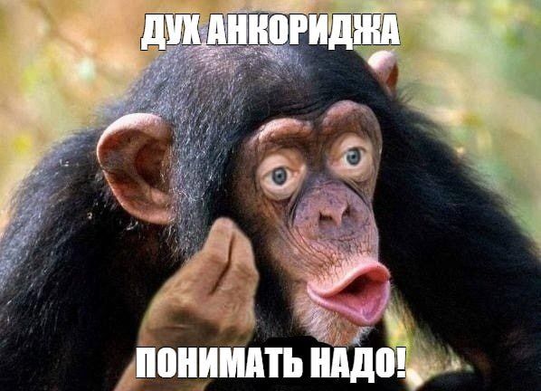 Лавров: Сообщения СМИ о том, что Трамп якобы дал Зеленскому разрешение наносить удары вглубь России - это попытка выдать желаемое за действительное