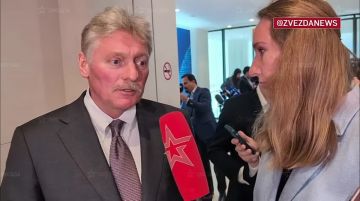 Понимания возможной площадки для переговоров России и Украины нет, сообщил Песков корреспонденту "Звезды" Россине Бодровой