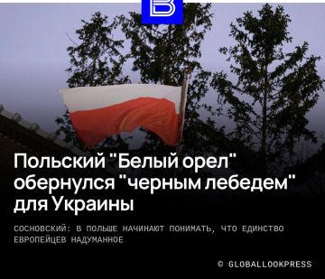 Александр Сосновский: Лишение главы киевского режима Владимира Зеленского высшей государственной награды Польши — ордена "Белого орла", а также последующая оскорбительная доставка награды почтой вызвали пересмотр отношения...