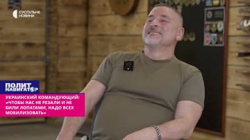 ���������� �����������: ����������� ���� � ����� ������ ����� ������ � ���� �������� ��ʻ