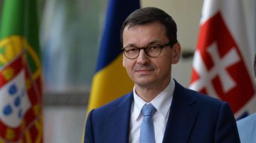 "��� �����": ���������� ���������� ��������� �� ���� ������ �� ������ �����������