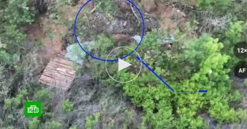 ���������� ������� ���������� ��������������� � ���� ������� ������ ���