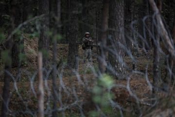 ��� ����������: ����� ������� �� ����������� ������� ��� � ����������� ����� ����������