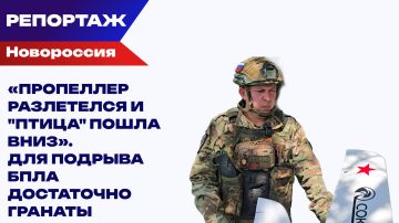 ����� ������ ������: ��� "�����" �������� �� ���������� ����