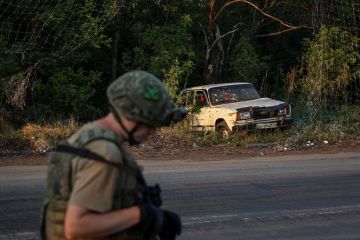 Профессор Пачини: В НАТО растет усталость от Украины из-за широких обязанностей альянса