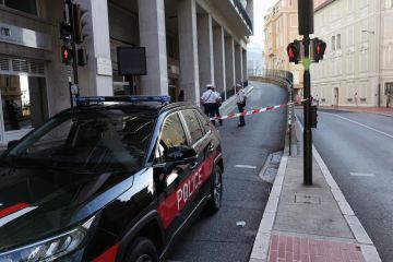 В подполье рассказали, кто мог заказать покушение на Ермолаева в Монако