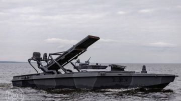 Семь украинских безэкипажных катеров уничтожены в Чёрном море. Новости СВО