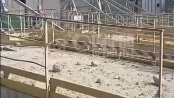 � ���������������� ������� ������� ���������� ����������� �������� ��������� ���������� ��������, � ������� ���.