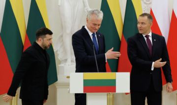 Волынский камень преткновения: Вильнюс не помирит Варшаву и Киев