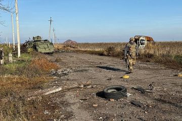 Дизен заявил, что расширение западных военных блоков приведет к разрушению Украины
