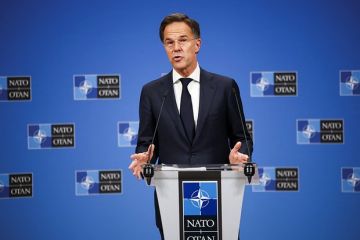 Сенатор Карасин: Переговоры по Украине вряд ли зависят от генсека НАТО Рютте