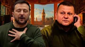 Политический триллер в Киеве: Залужный идёт в президенты