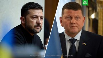 Экс-главком ВСУ Залужный сказал Зеленскому, что планирует участвовать в выборах президента, пишут украинские СМИ со ссылкой на источники