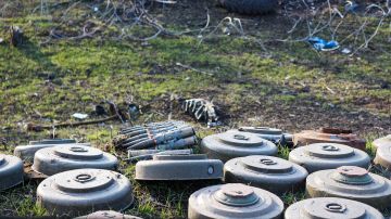 В Чехии высказались о поставках боеприпасов Украине