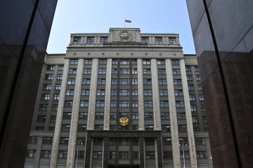 Депутат Госдумы Колесник призвал сбивать дроны ВСУ над Эстонией