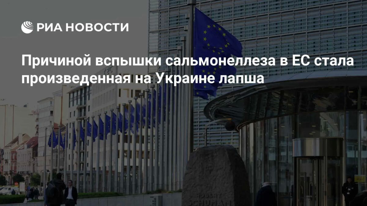 Произведенная на Украине лапша стала причиной вспышки сальмонеллеза в ЕС