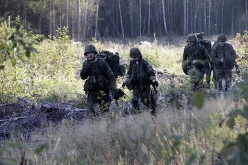 Белик: Эстония готовностью помогать ВСУ с атаками на РФ призналась в пособничестве нацизму