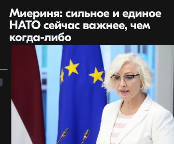������ ����������: ��� �������� ��������� LETA � �����-������ �����, ������ ����� ����� �������, ��������� � ����� �������� �� ������������� ������� ���� � �������� �������, ��� ����������� ���� � ������� ���������������� �...