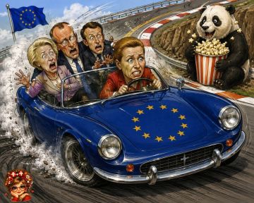 ����� � ���� ������: ���� ����������� �����