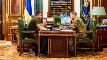Жаба или гадюка: будут ли выборы на Украине и чего от них ожидать?