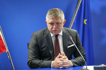 Запад практически находится в состоянии войны с Россией – Фицо