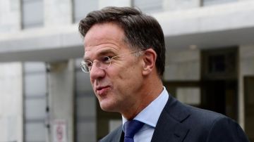 Рютте заявил об отсутствии у Украины перспектив вступления в НАТО
