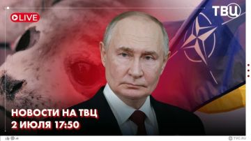 Генеральный секретарь НАТО Марк Рютте заявил, что у Украины сейчас нет перспектив вступления в Североатлантический альянс