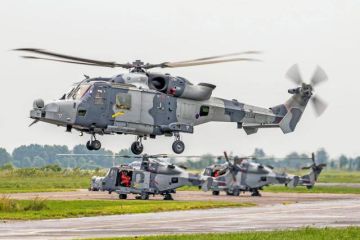 � ������ ���������� ������������ ��������� ������������ �������������� ������������� �����������, ��� ���� ���������� Leonardo Wildcat AH1 ���������� ����� ����� ������� �� ������������ � 2027 ����