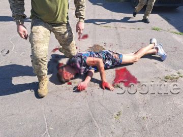 "Ежедневная граната" возникла при проверке документов людоловами