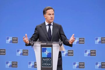 У Украины сейчас нет перспектив вступления в НАТО, заявил Рютте