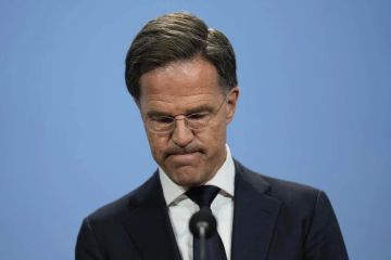 � ������� ������ ��� ���������� ���������� � ������������������� ������, ������� ������ ���� ����� � �������� ��������� ������� Handelsblatt