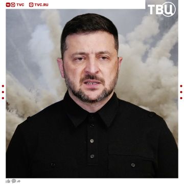 Зеленский хочет начать мировую войну, чтобы избежать выборов на Украине