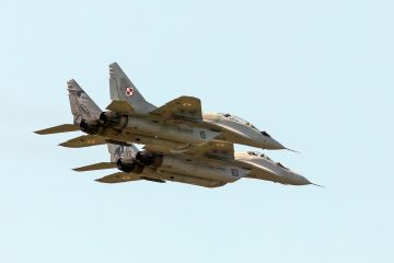 Поляки, судя по всему, приняли окончательное решение вывести из эксплуатации и затем утилизировать свои истребители МиГ-29