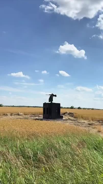 Юрий Баранчик: Украина начала применять AI-турели Sky Sentinel для борьбы с дронами Герань