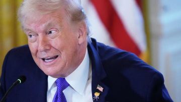 Трамп добьется окончания конфликта на Украине – конгрессвумен Луна
