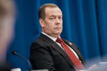 Мема осудил поддержку Украины властями Финляндии после предупреждения Медведева