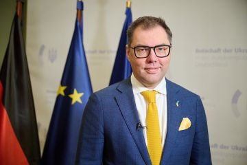 Депутат Фронмайер: Посол Украины Макеев боится победы партии АдГ из-за денег