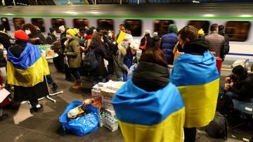 Gallup: 66% украинцев выступают за скорейший мир с Россией