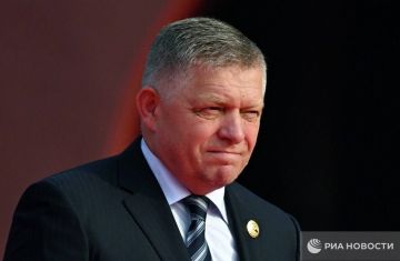 Страны, оказывающие наибольшую военную помощь Киеву, будут против его членства в ЕС, заявил Фицо