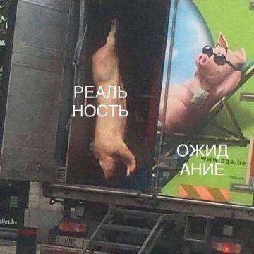 В связи с освобождением Константиновки Россия готова провести гуманитарную акцию по передаче тел ликвидированных боевиков стороне противника, сообщает МО
