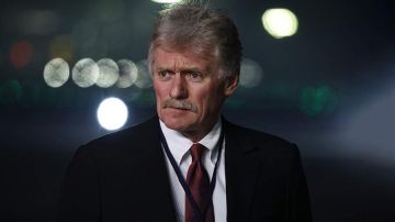 Западная помощь Украине сделала СВО «настоящей войной» – Песков
