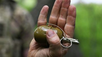 В Одесской области дезертир подорвал гранату при проверке документов полицейскими