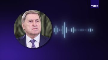 Главное из разговора Путина и Трампа: