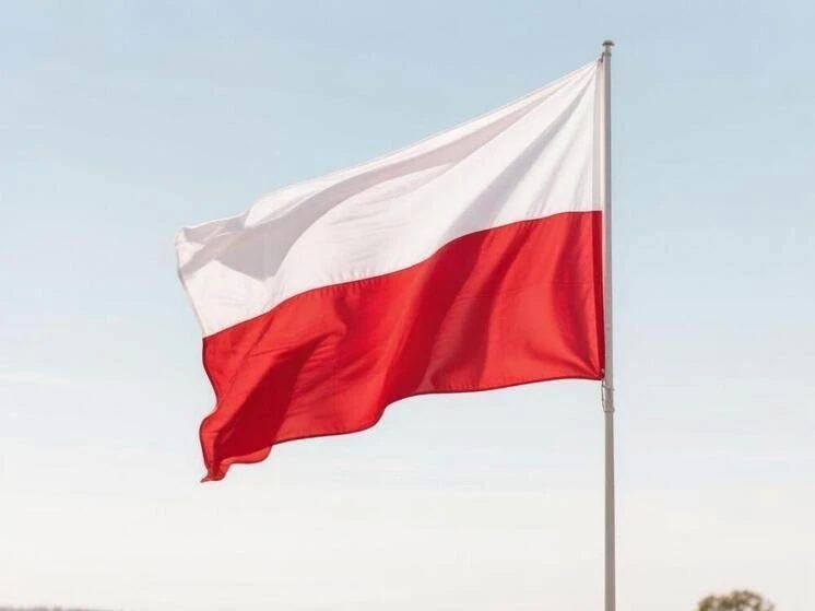 В Польше заявили о возможных тайных поставках ракет Patriot Украине